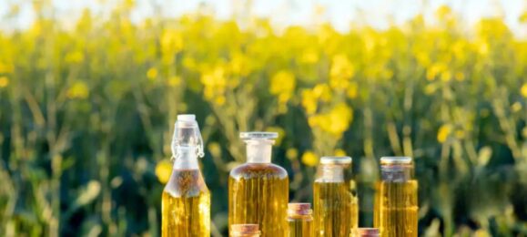 Менора Агро, експорт олійних і зернових культур