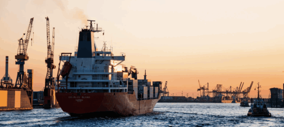 Зерновий коридор, Менора Агро