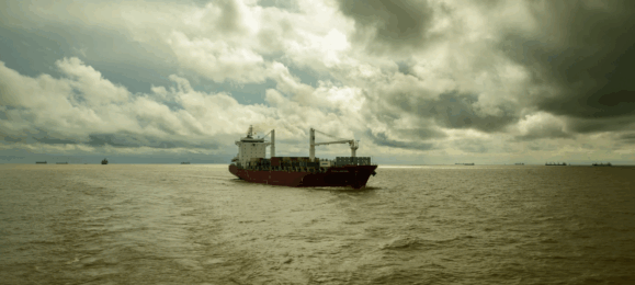 Зерновий коридор, морський коридор, менора агро