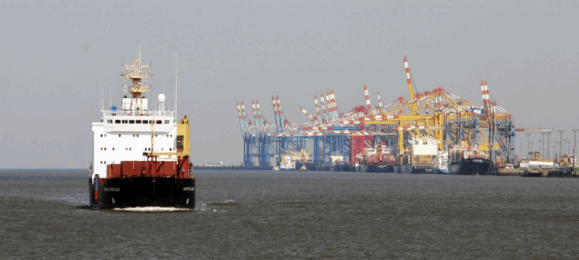 менора агро, агро трейд менора, експорт зернових