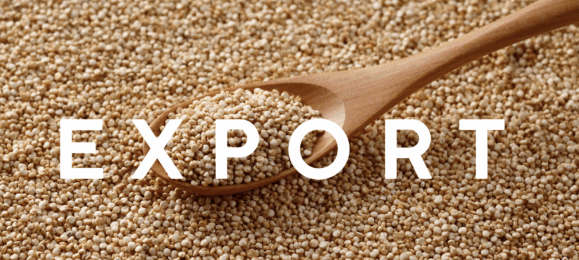 Експортер зернових Менора Агро