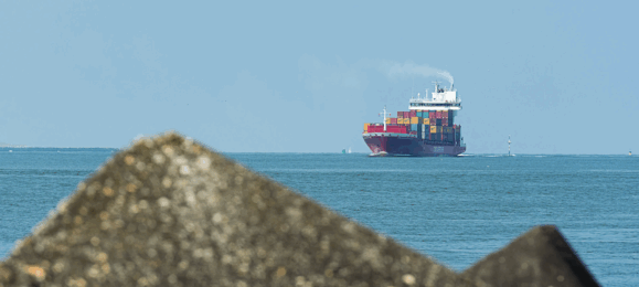 Експорт зернових